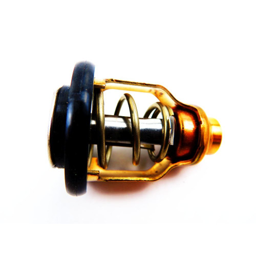 Thermostat Suzuki DF115
