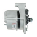 Lichtmaschine Palmieri 1800 GN_1