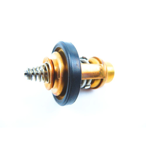Thermostat Suzuki DF4
