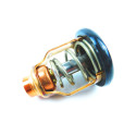 Thermostat Suzuki DF250