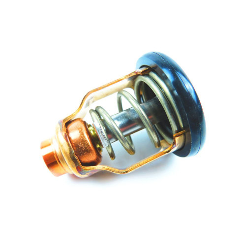Thermostat Suzuki DF250