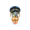 Thermostat Suzuki DF250_5